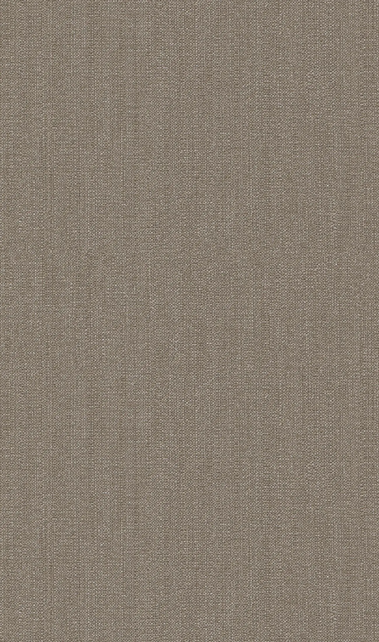 Alabaster Cotton